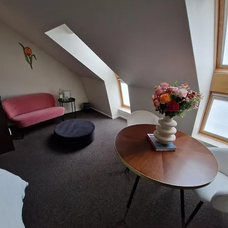 Гостевой дом Boutique De Raetskamer Нордвейкерхаут