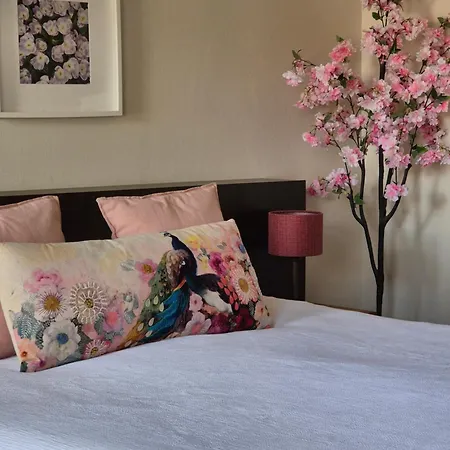 Boutique De Raetskamer Vendégház