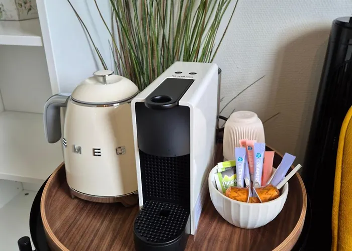 Boutique De Raetskamer Pensjonat Noordwijkerhout